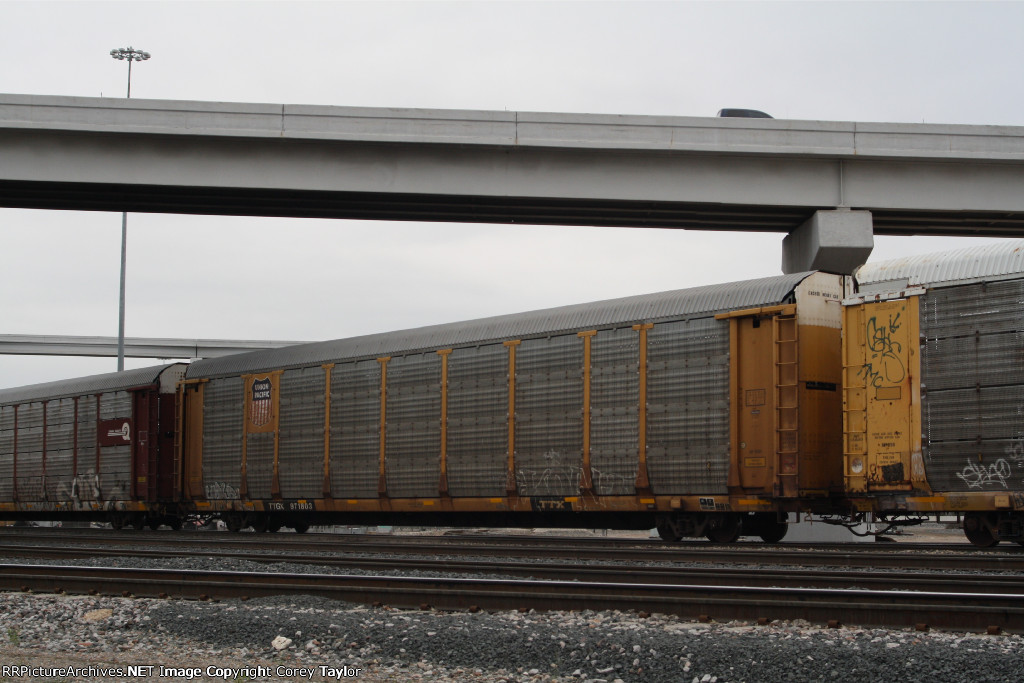 TTGX 971803